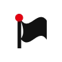 Flag icon